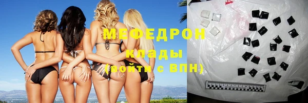 индика Алексин