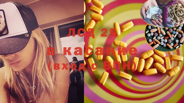 индика Алексин