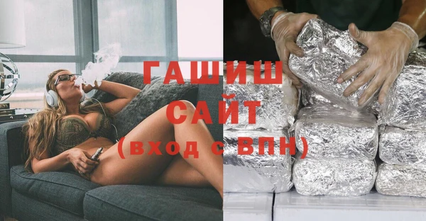 индика Алексин