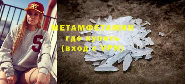 индика Алексин
