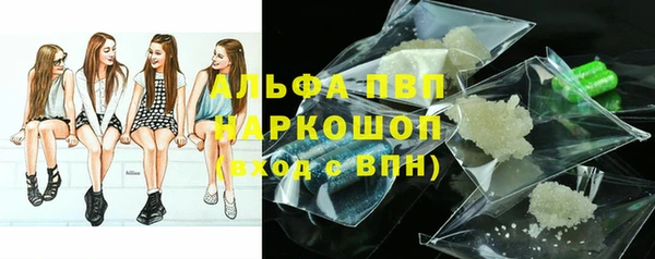 индика Алексин